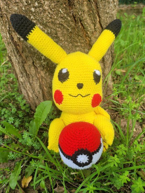 Pickachu et sa pokerball