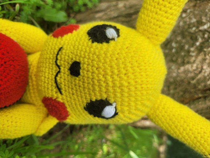 Pickachu et sa pokerball