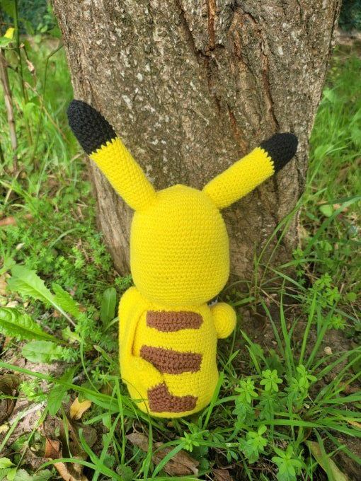 Pickachu et sa pokerball